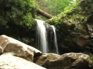 25' Grotto Falls, off the Roaring Fork Motor Trail